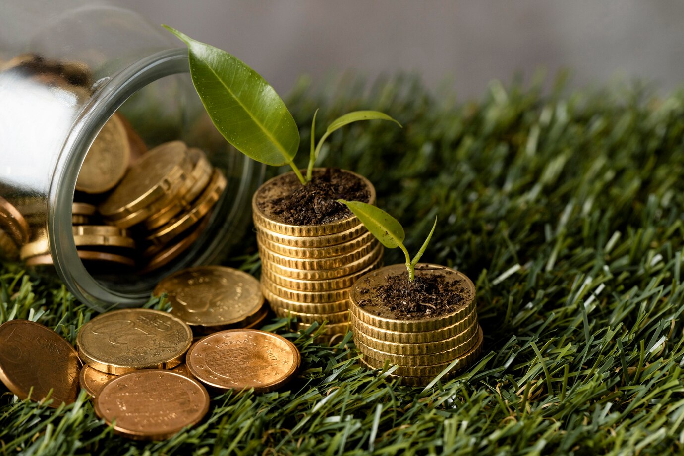 Business Finance Tips for Sustainable Growth in 2024